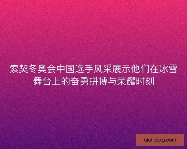 索契冬奥会中国选手风采展示他们在冰雪舞台上的奋勇拼搏与荣耀时刻